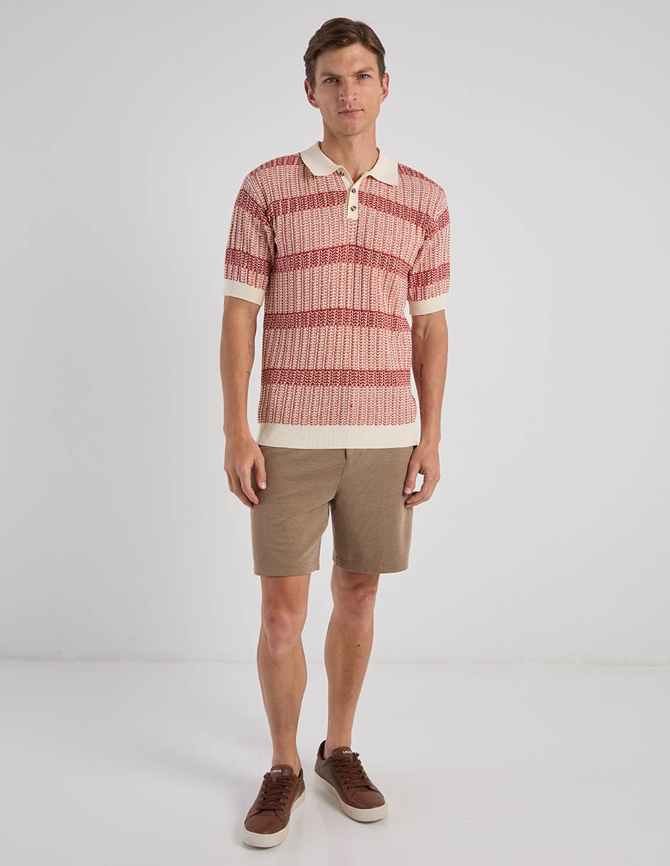 Playera tipo polo para hombre 2